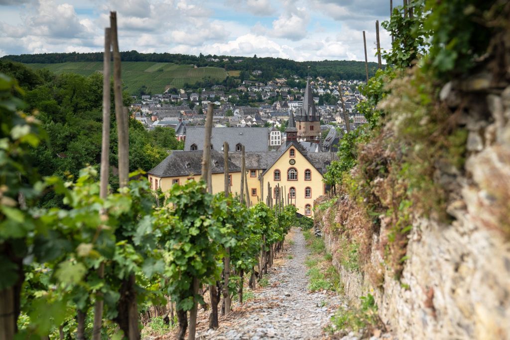 Moselsteig, Bernkastel, Germany