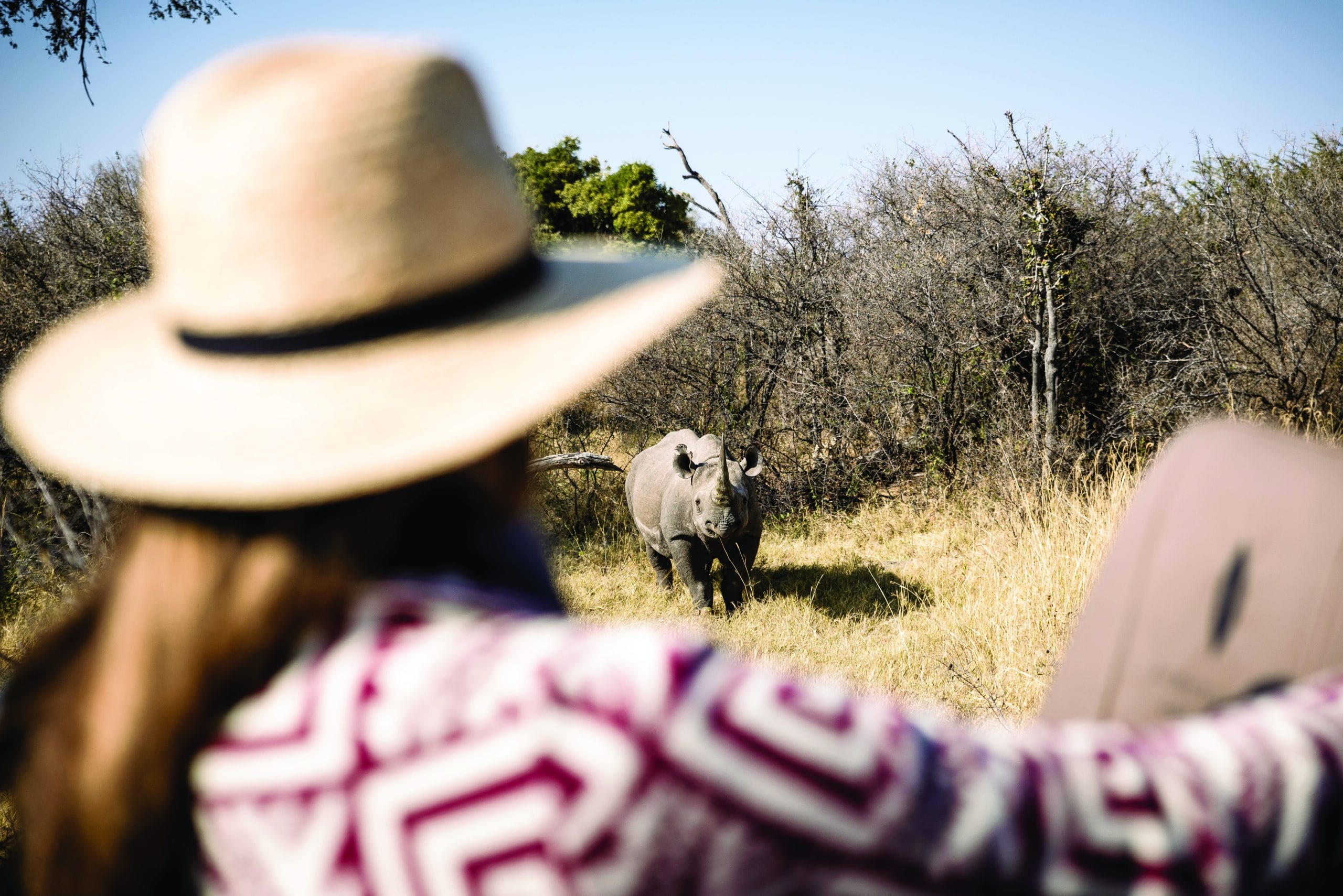 Africa; Botswana; Okavango Delta; Sanctuary Chief's Camp