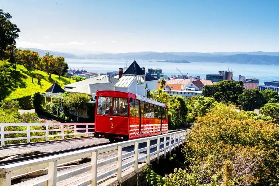 Wellington_new_zealand