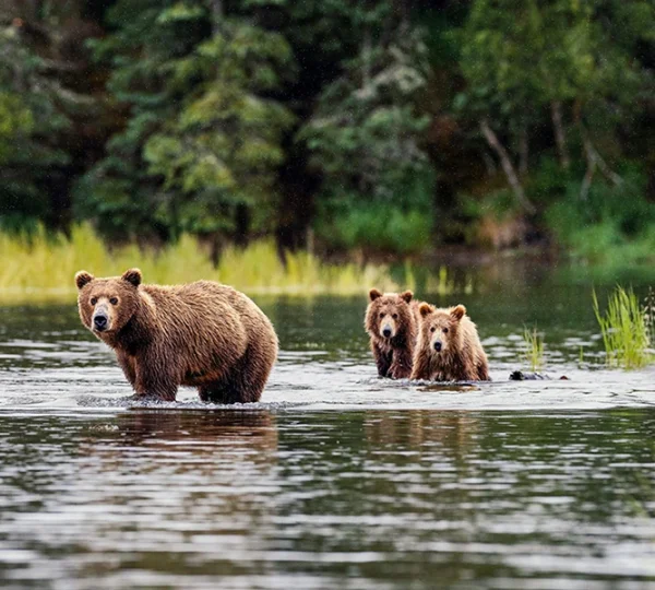 Once-in-a-lifetime experiences on this Silversea Alaskan Cruise