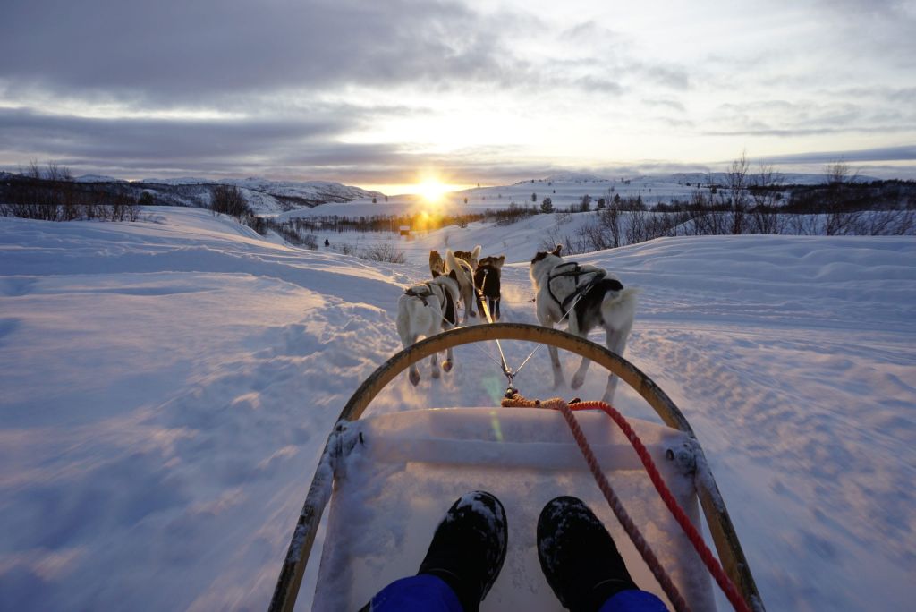 Dog-sled ride in sunrise
