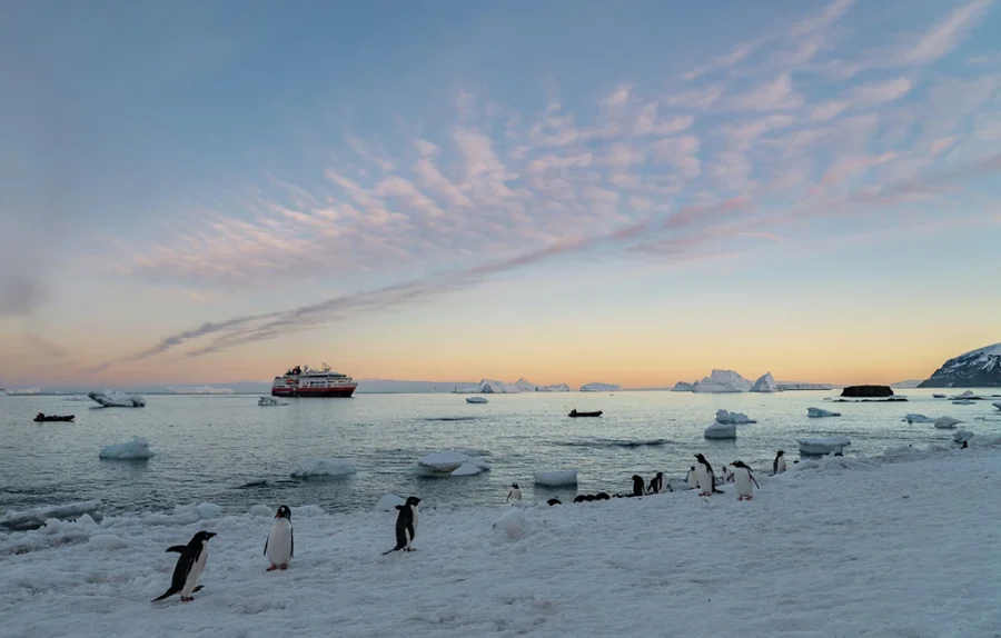 Antarctica_Brown_Bluff_HGR