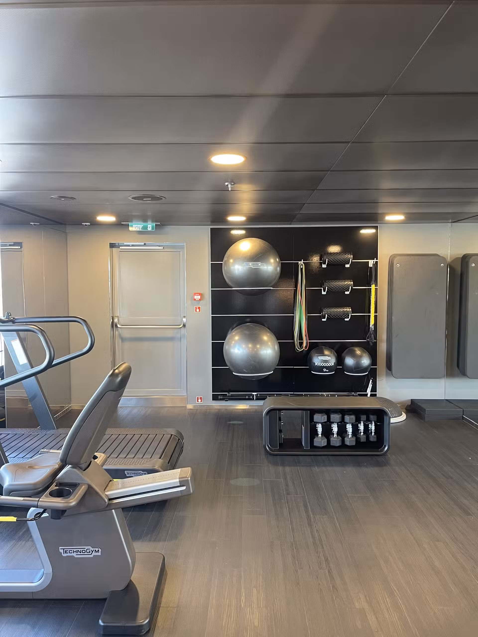 Scenic Eclipse Gym Ball And Pilates Equipment 