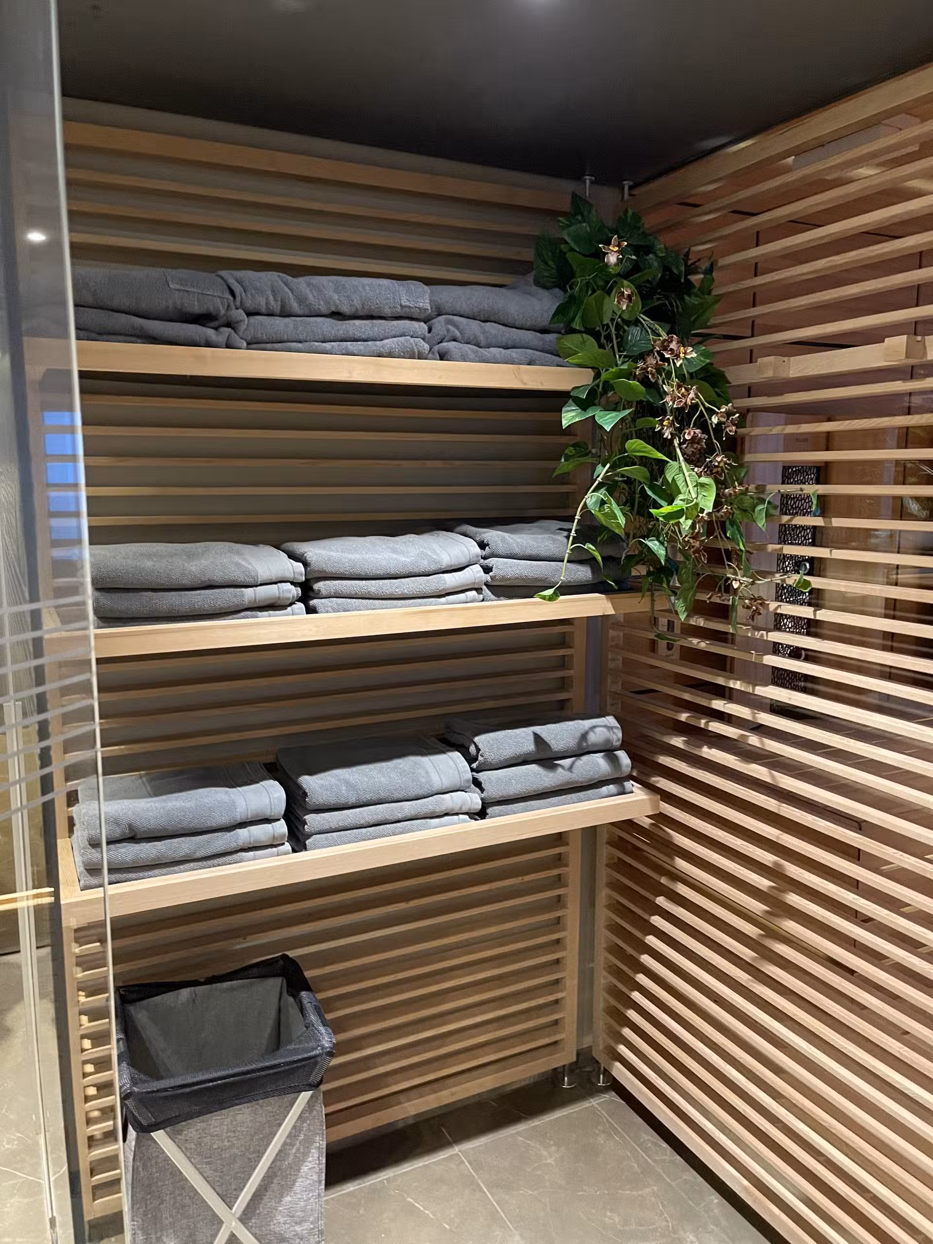 Scenic Eclipse Infrared Sauna
