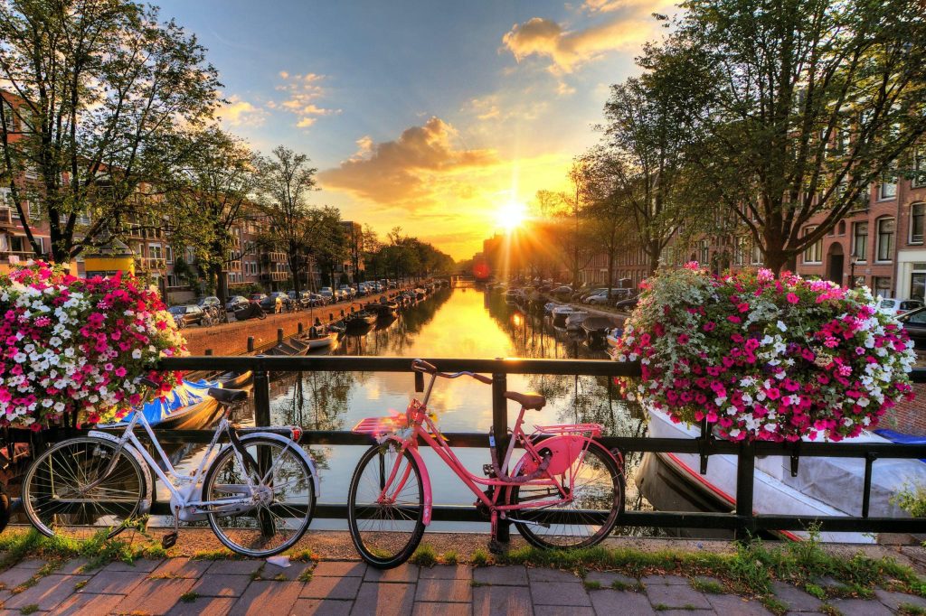 Sunset over an Amsterdam canal with white and pink bicycles on a bridge railing, framed by hanging pink flower baskets.