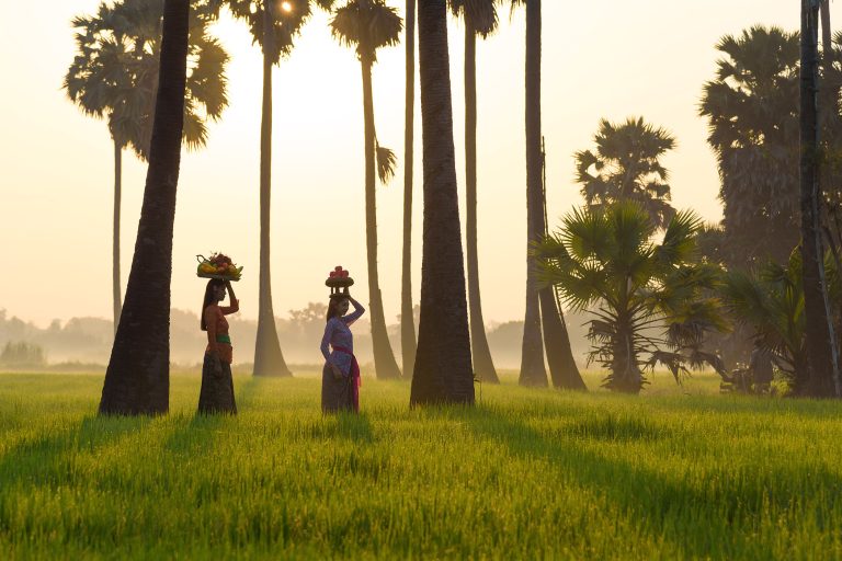 Two women in traditional dress balance baskets of fruit on their heads among tall palm trees at sunrise in a green field.