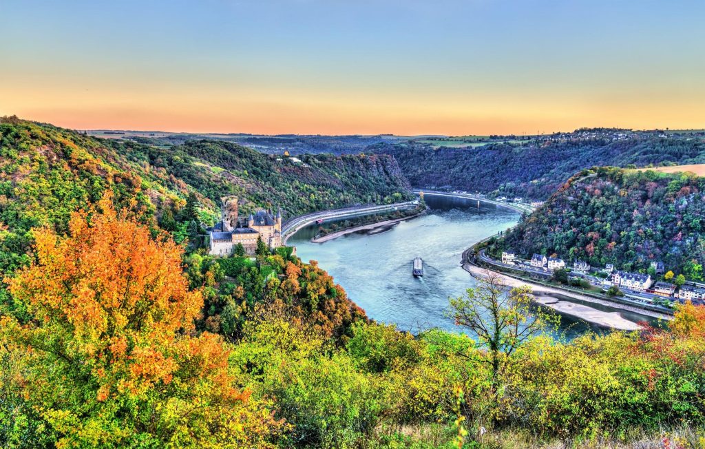 Castles on the Rhine 1