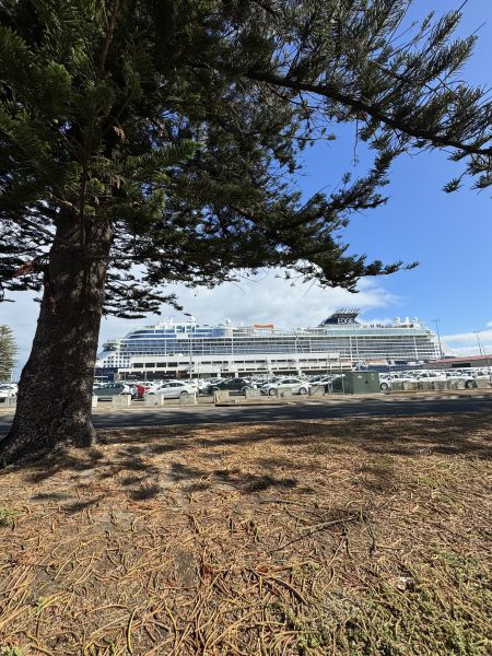 Celebrity Edge Ship Inspection