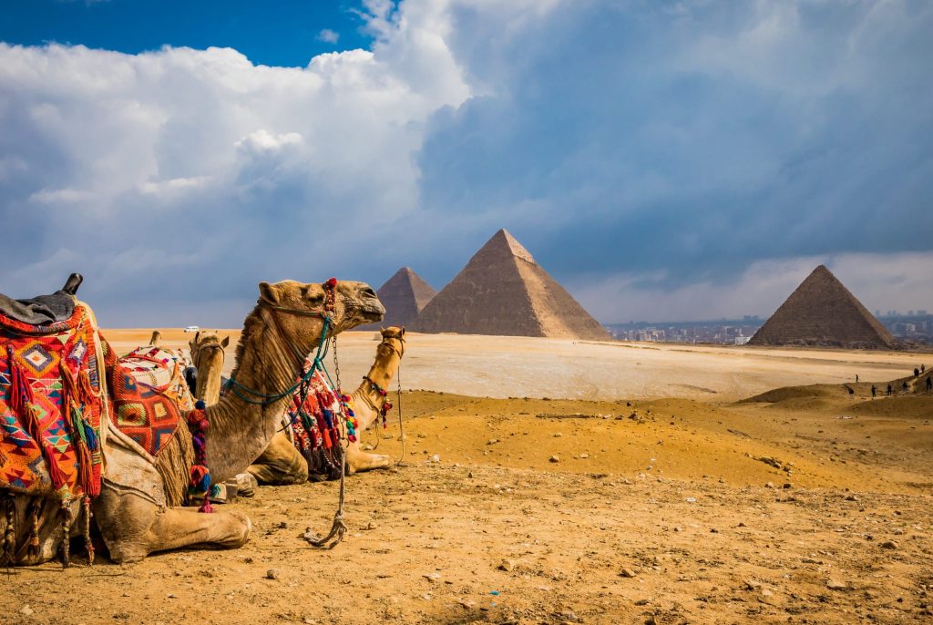 Egypt with Camels 1