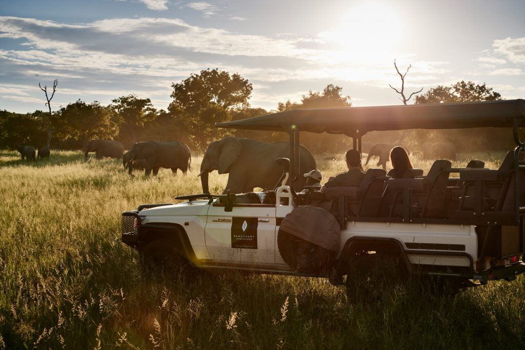 Open safari vehicle with guests watching elephants in tall grass at sunset.