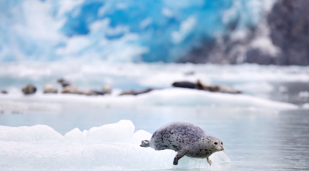 Sawyer Glacier