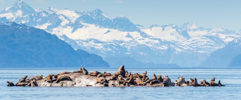 Glacier Bay