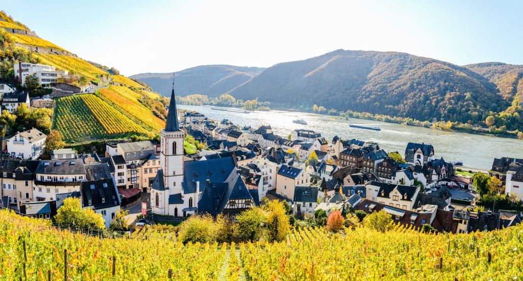 Riverside town with a church spire and half-timbered houses beside a broad river, surrounded by autumn vineyards.