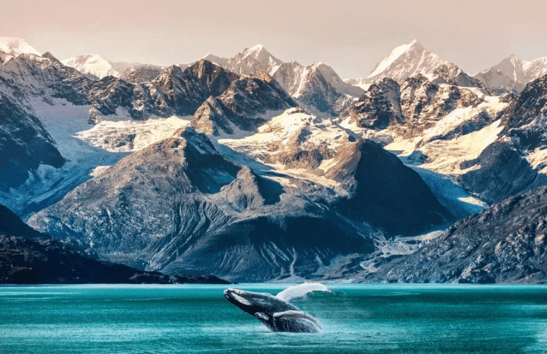 Silversea Cruises Ultra Luxury Cruises