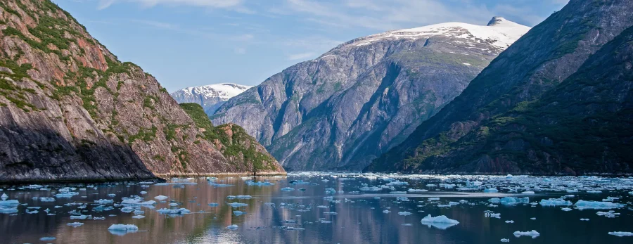 Tracy Arm Inlet