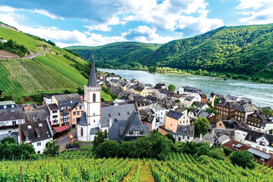Rhine Gorge