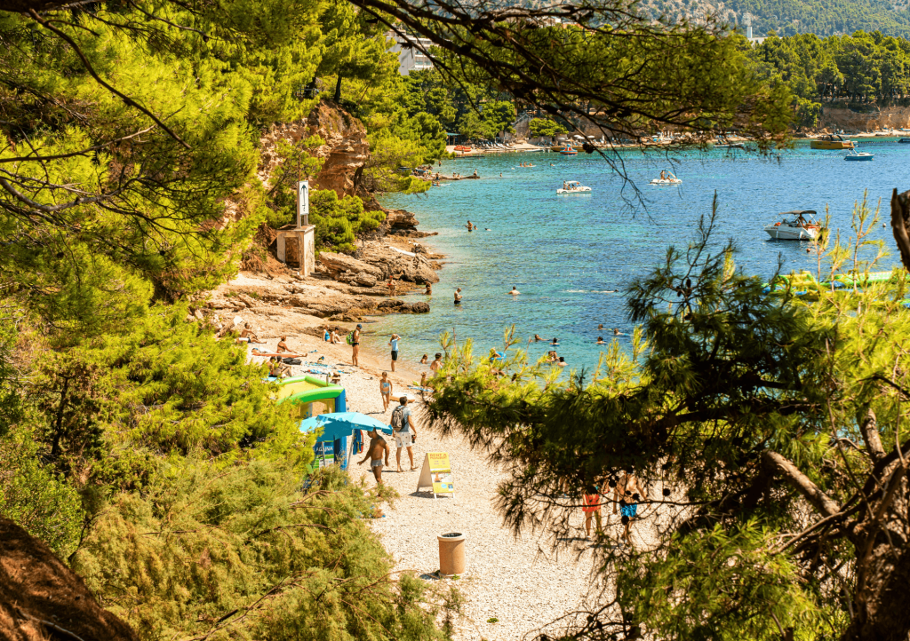 Pebble beach cove with swimmers in turquoise water, umbrellas, and pine trees framing the shore.