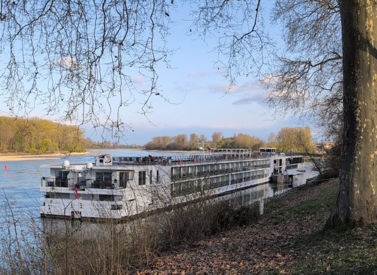 Viking Sigyn European River Cruise Review
