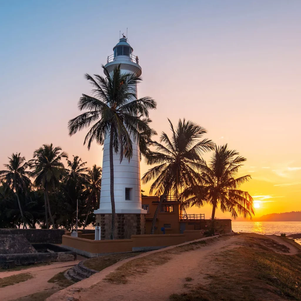 Best of Sri Lanka Guided Tour 2026 1
