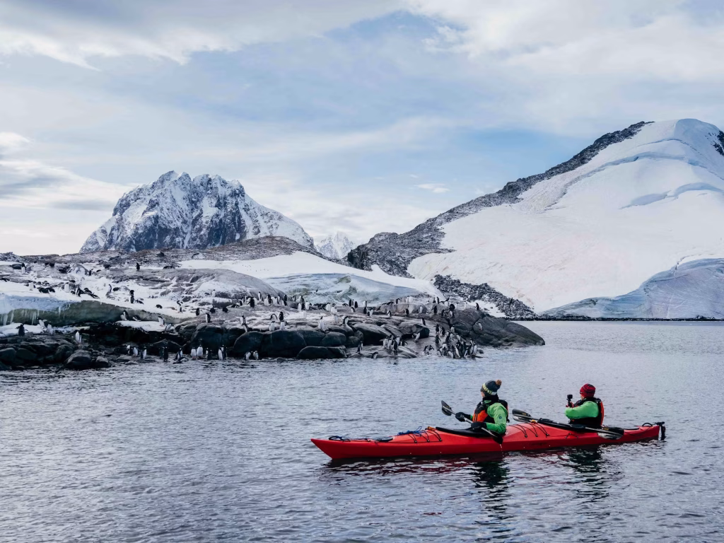 Kayaking Past Penguins Pleneau Port Charcot Antarctica Matt Horspool Min