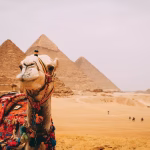 Saddled camel in front of the pyramids on a desert plain with distant figures.