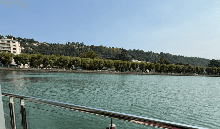 View from a riverboat deck railing across green water to a tree-lined riverbank and hillside.