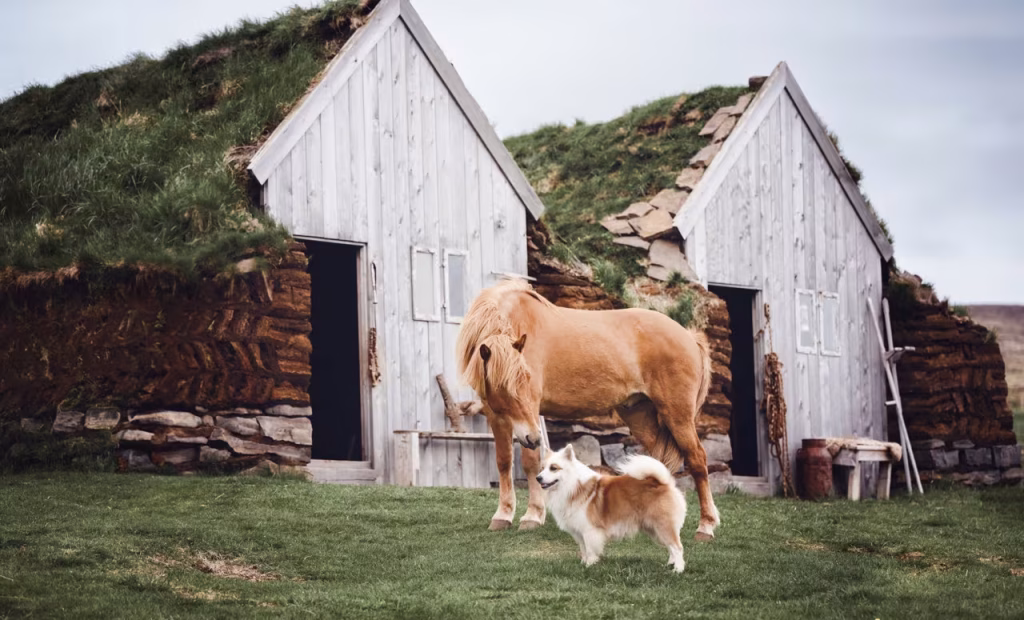 Iceland Skagafjordur Glaumbr Farm 001