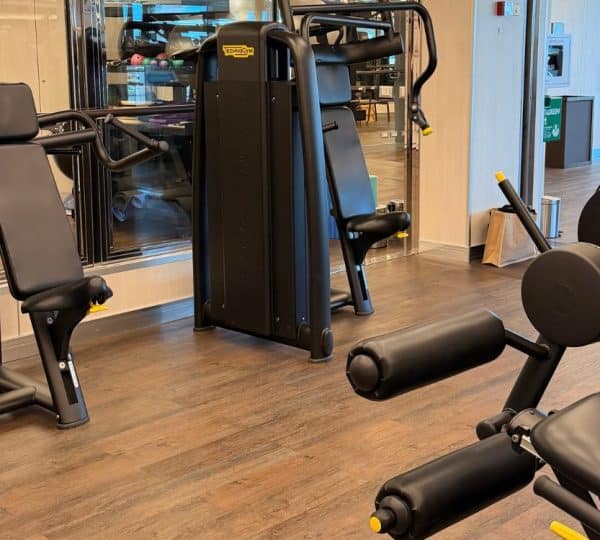 Silver Moon Gym Machines