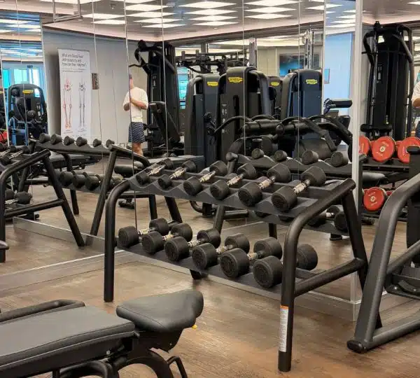 Gym Weights