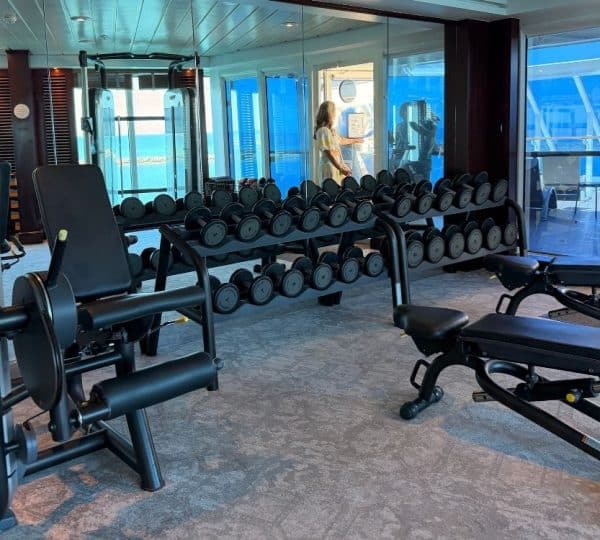 Weights at The Fitness Centre