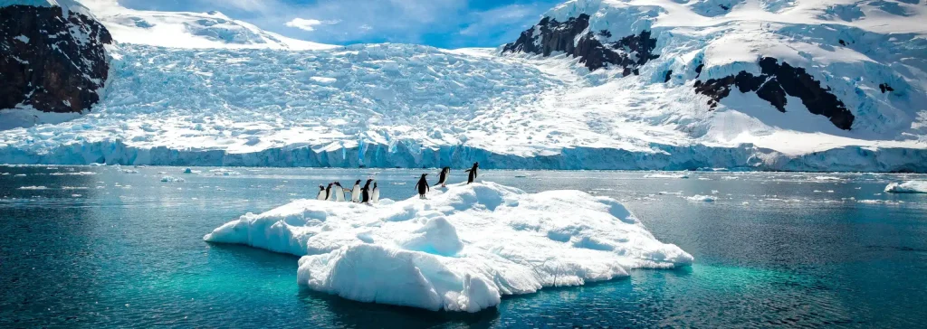 Gentoo penguins standing on a floating iceberg in front of a glacier.