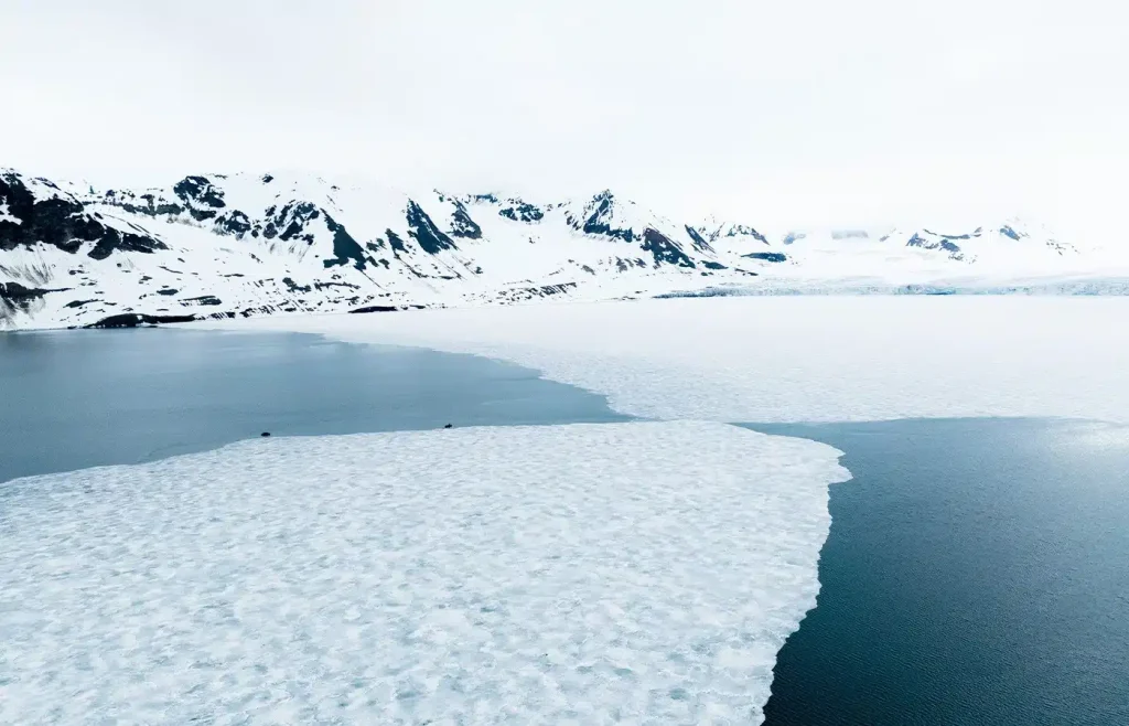 Snow-covered mountains above a frozen fjord with ice sheets on dark blue water.