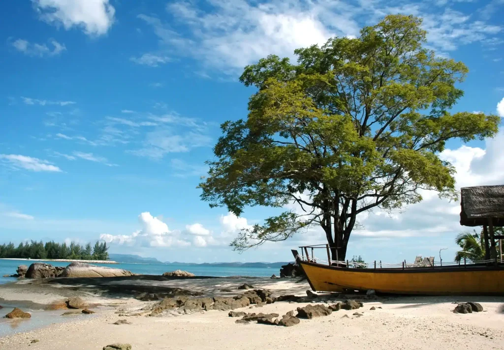 Yellow boat perched on the sandy shore beside a large leafy tree, with blue sea and sky in the background.