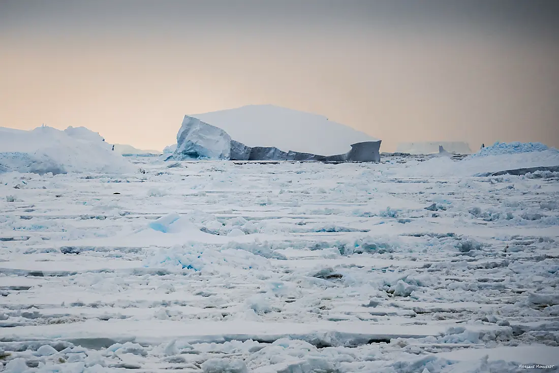 Ponant Antarctica