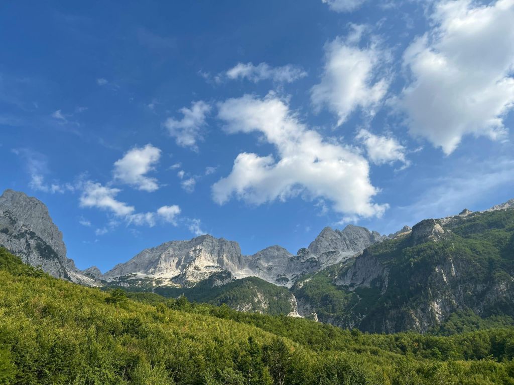 Rocky mountain peaks rise above a dense green forest under a bright blue sky with scattered white clouds.