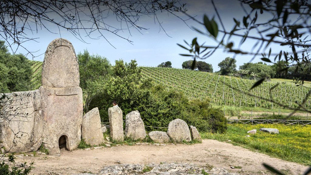 Stone megaliths forming a small ancient site beside a vineyard hillside; a person sits among the stones under a tree canopy.