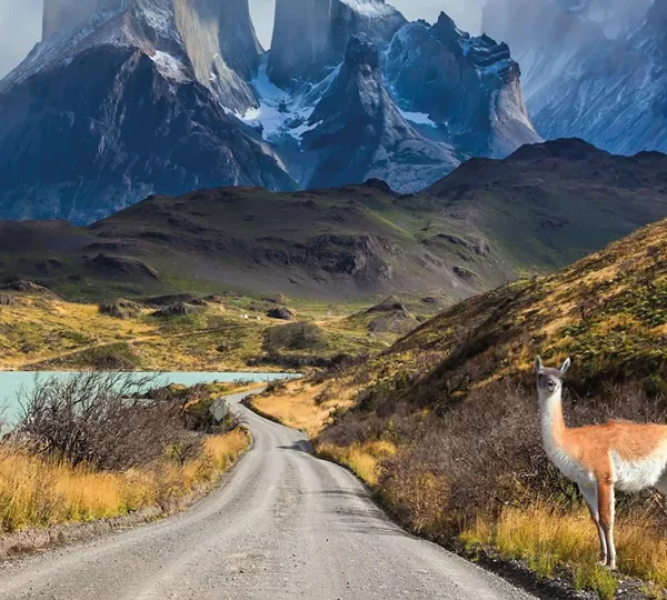 patagonia south america