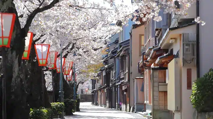 kanazawa tea house
