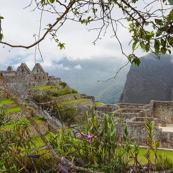 Machu Picchu Tour