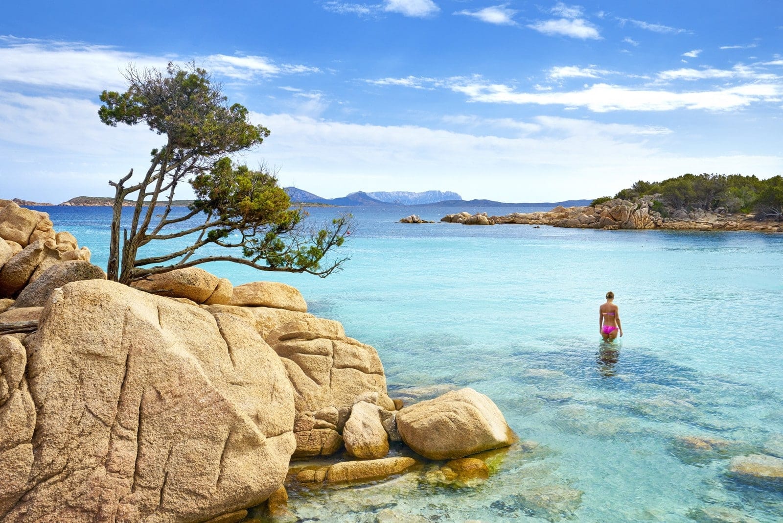 Woman in a pink bikini wades in clear turquoise water beside a rocky shoreline with a windswept tree in the foreground.