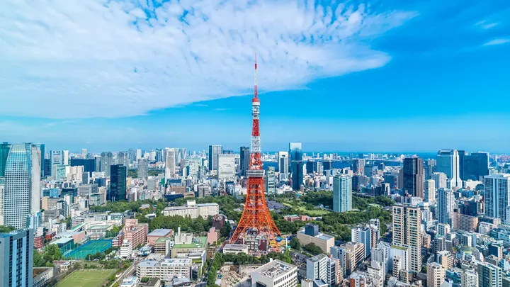TOKYO INSIGHT VACATIONS