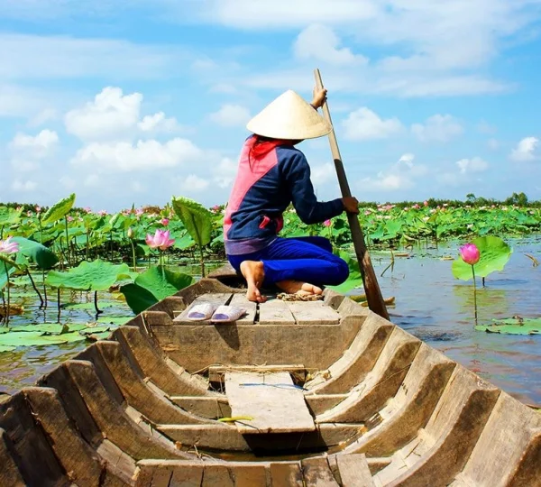 Person wearing a conical hat paddles a wooden boat through a lotus-filled pond under a blue sky