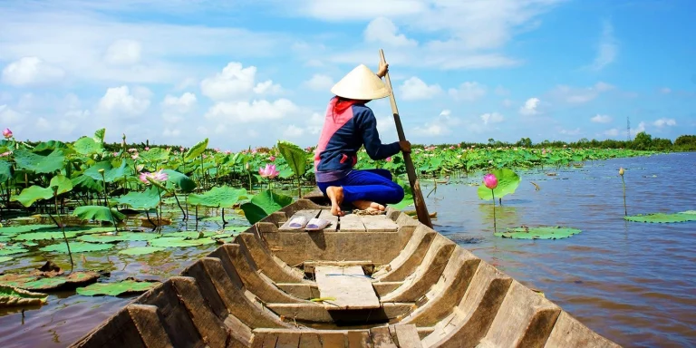 Person wearing a conical hat paddles a wooden boat through a lotus-filled pond under a blue sky