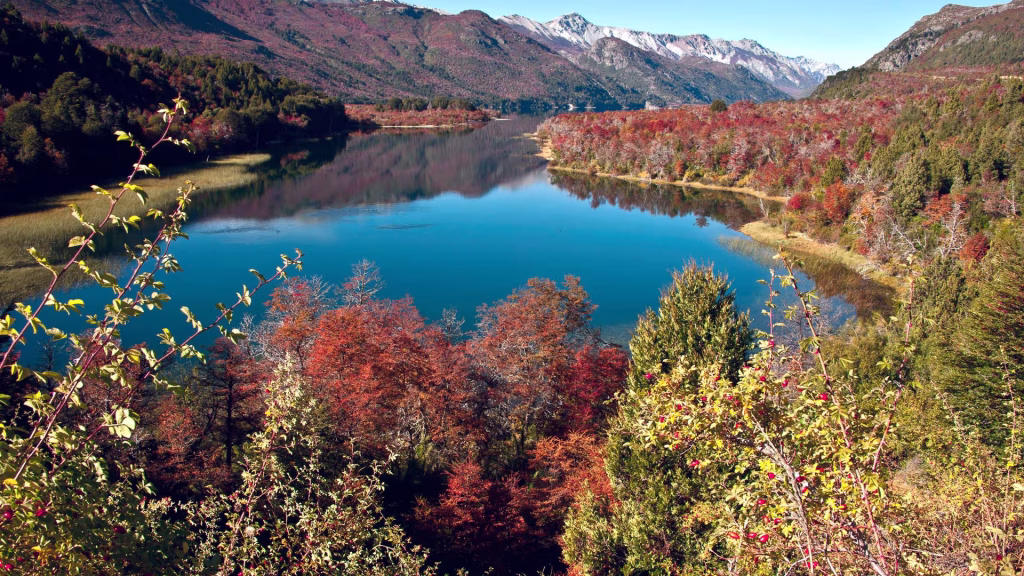 Lake shore in Patagonia with autumn red foliage, forested hills and snowy peaks.