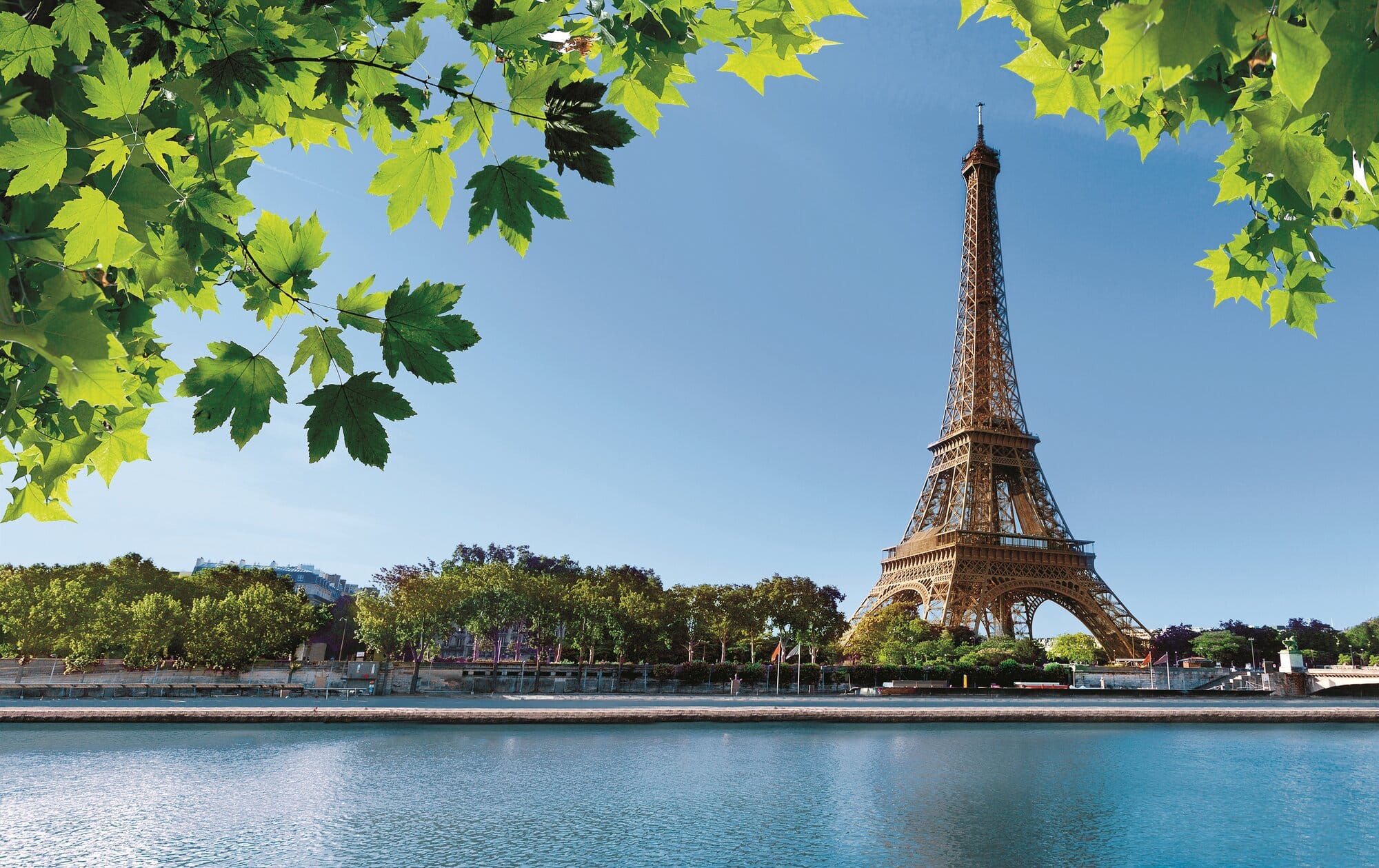 Eiffel Tower beside a calm river, framed by bright green tree branches against a blue sky.
