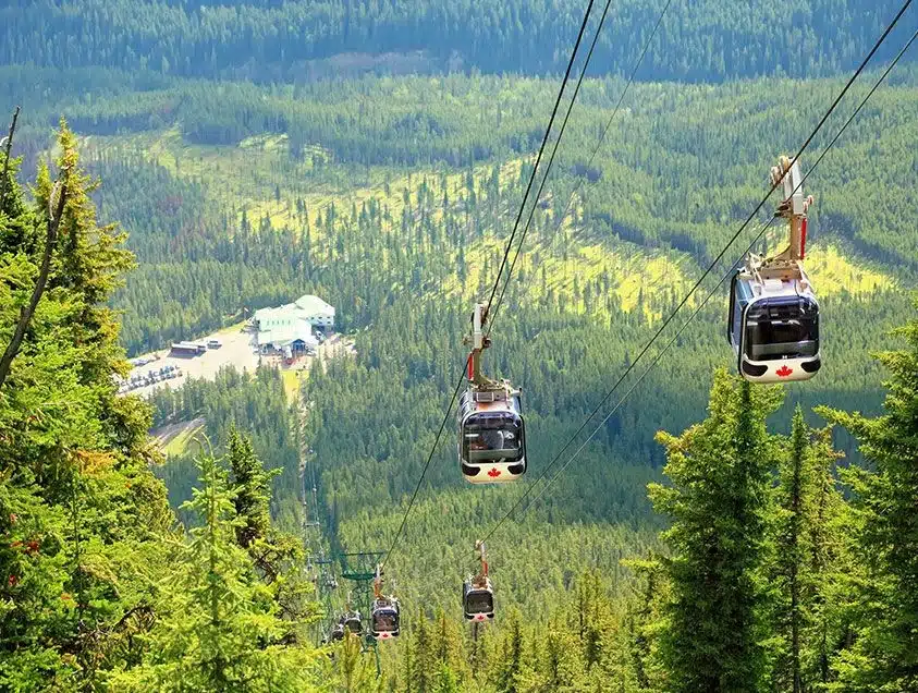 Gondola cabins gliding above a dense green forest on a cable lift.