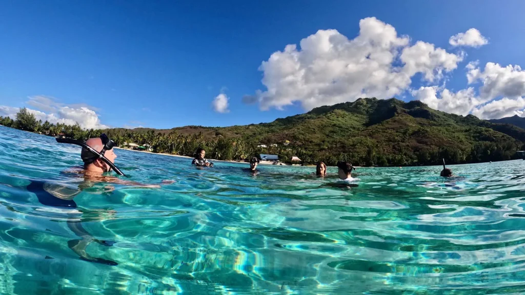 Snorkelers swim in turquoise sea near a tropical shoreline with green hills and a bright blue sky with fluffy clouds behind them