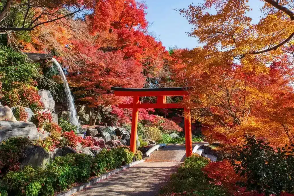 Japan cruise and airfare bundle