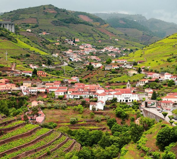 Douro River Cruise