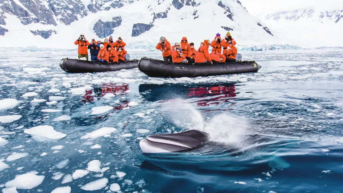 Guests exploring by zodiac, Antarctica